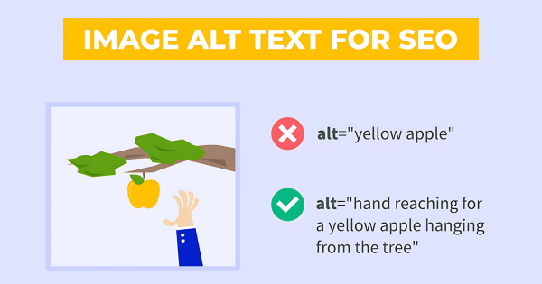 alt text for seo
